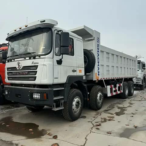 White Shacman F3000 dump truck parked outdoors